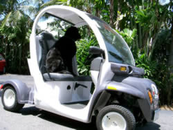 electric car rental miami beach